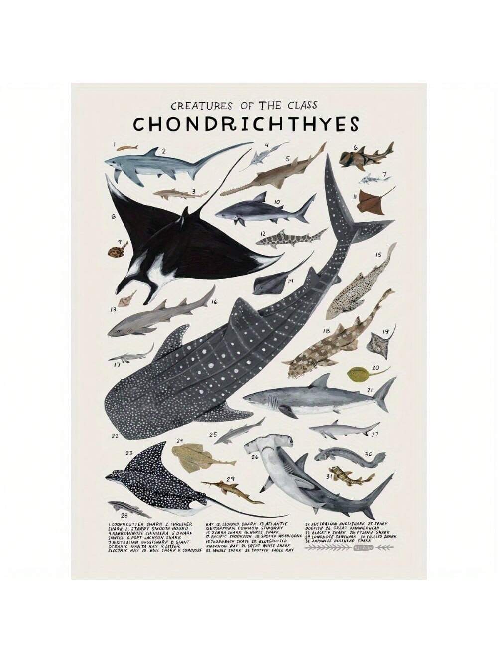 Elevate your interior with this unframed canvas poster featuring detailed illustrations of sharks, skates, and rays. Its modern design and clean lines provide a sophisticated aquatic theme that complements a variety of décor styles. Ideal for adding a touch of marine elegance to living rooms, offices, or bedrooms, this artwork offers both style and versatility without the constraints of a frame.