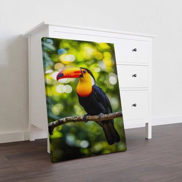 Tropical Toucan Bird Canvas Wall Art, Vibrant Nature Photography Print - For Living Room, Sofa Backdrop, Bedside Decoration, Home Decor