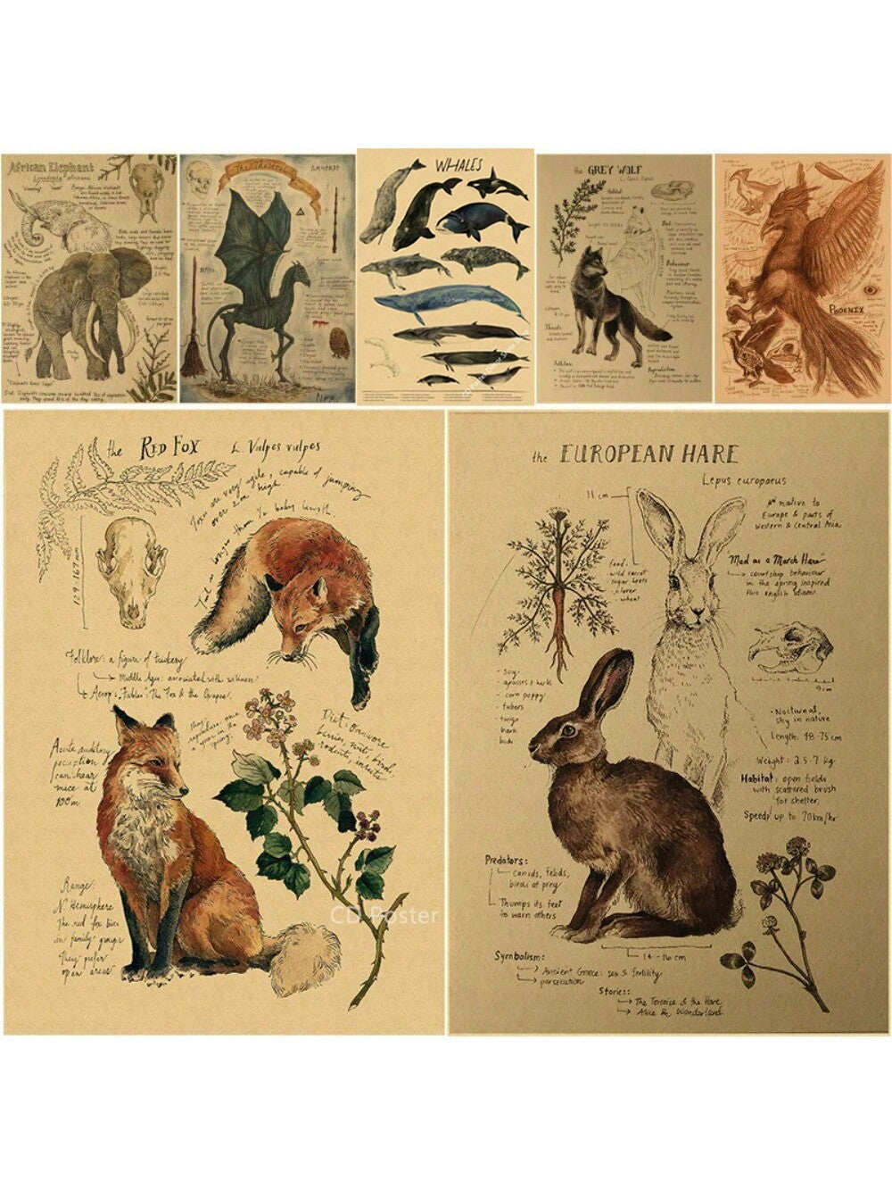 Elevate your living space with this vintage animal-inspired art print collection featuring detailed illustrations of the red fox, dragon, elephant, and more. Each print merges classic artistry with unique animal motifs, bringing a sophisticated yet distinctive touch to your home decor. Perfect for those who appreciate timeless design, these prints add character and a subtle narrative to any room. Crafted to complement a range of interior styles, they serve as both conversation starters and elegant accents.
