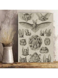 This vintage bat species framed poster is the perfect addition to any gothic home decor. Featuring retro nature art, this unique gift for animal lovers highlights the beauty and diversity of bats. A must-have for any bat enthusiast.