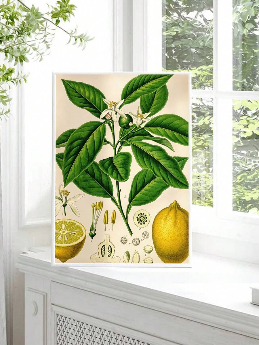 Vintage botanical canvas with leafy lemon branch and citrus study details