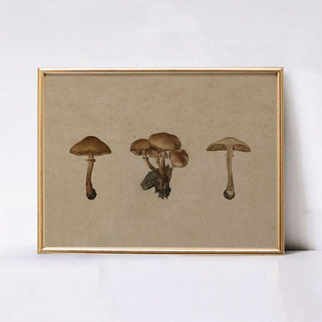 A framed botanical-style print showing three brown mushrooms on a warm beige background, enclosed in a thin gold-toned frame and photographed against a light neutral wall.