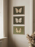Explore the beauty and sophistication of vintage decor with this 3-piece unframed wall art set. Featuring stunning butterfly prints, this set adds a touch of classic elegance to any home. Timeless and eye-catching, these prints are perfect for any art lover or home decorator. Made with high-quality materials, these prints are sure to stand the test of time.
