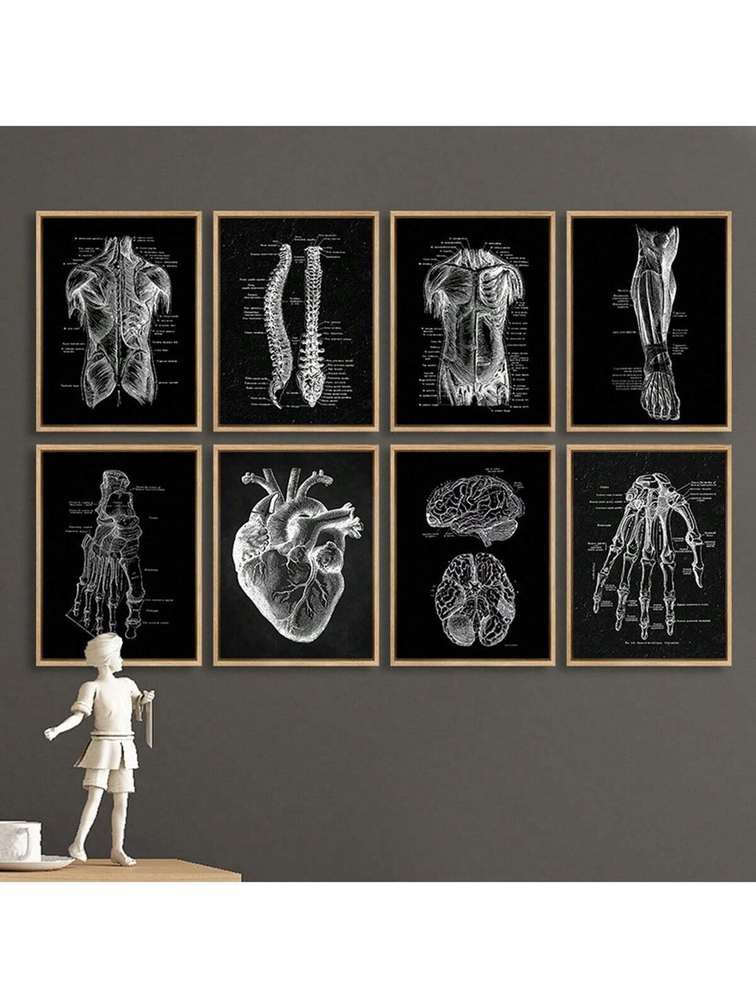 Expertly crafted with vintage illustrations, our Medical Anatomy Canvas Prints provide educational and stylish decor for any space. Frameless and easy to hang, these prints are perfect for medical professionals or anyone interested in anatomy. Enhance your walls with scientific accuracy and a touch of nostalgia.