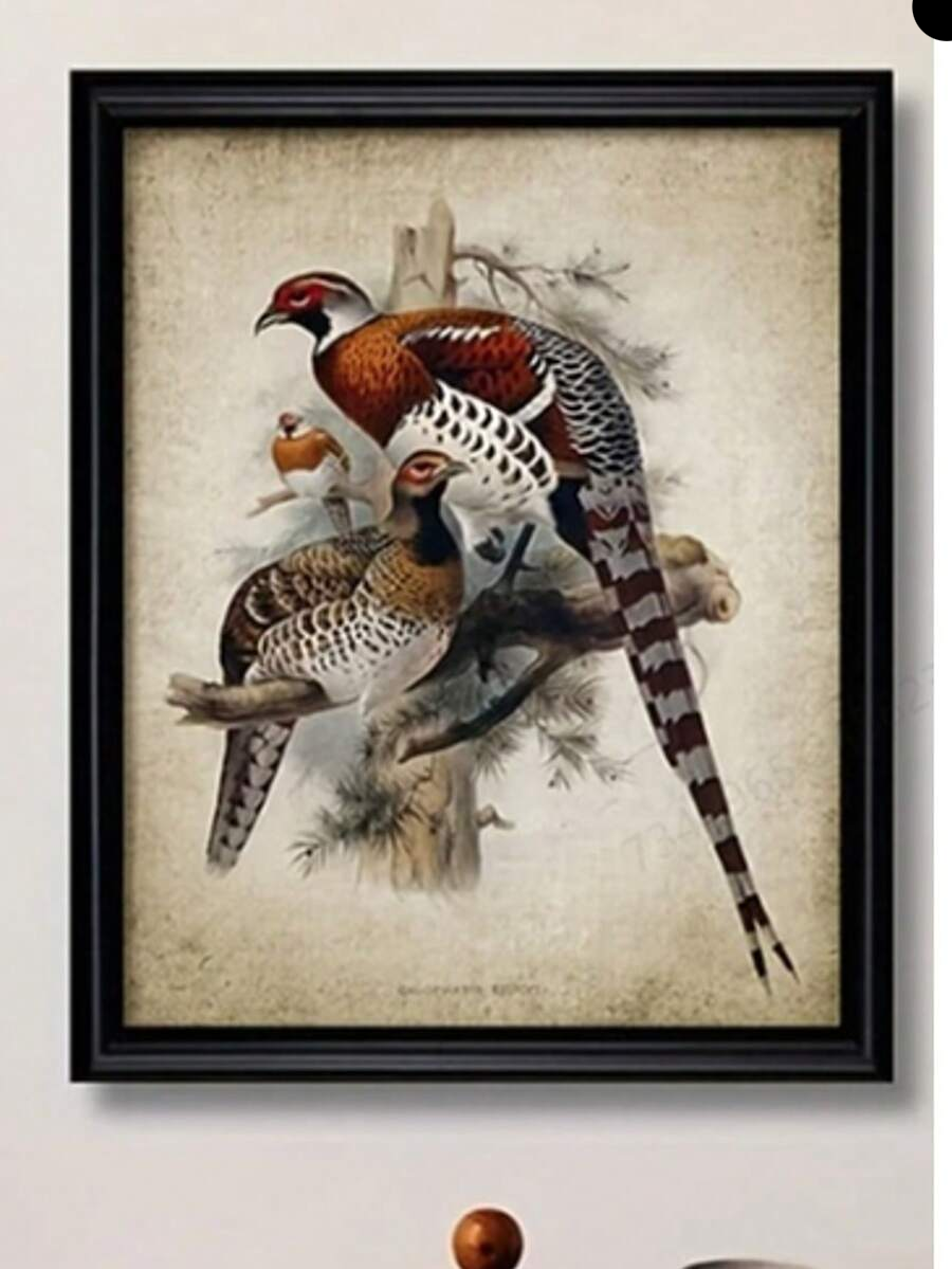 Bring timeless elegance to your space with this stunning Vintage Pheasant Canvas Art Print. Featuring rich, multicolor tones and intricate animal detailing, this modern artwork blends nature-inspired design with contemporary style. The waterproof canvas construction ensures durability and longevity, making it ideal for dining rooms, living spaces, or any room needing a sophisticated touch. Perfect as a standalone statement piece or thoughtful gift for art lovers and nature enthusiasts. Unframed for flexible