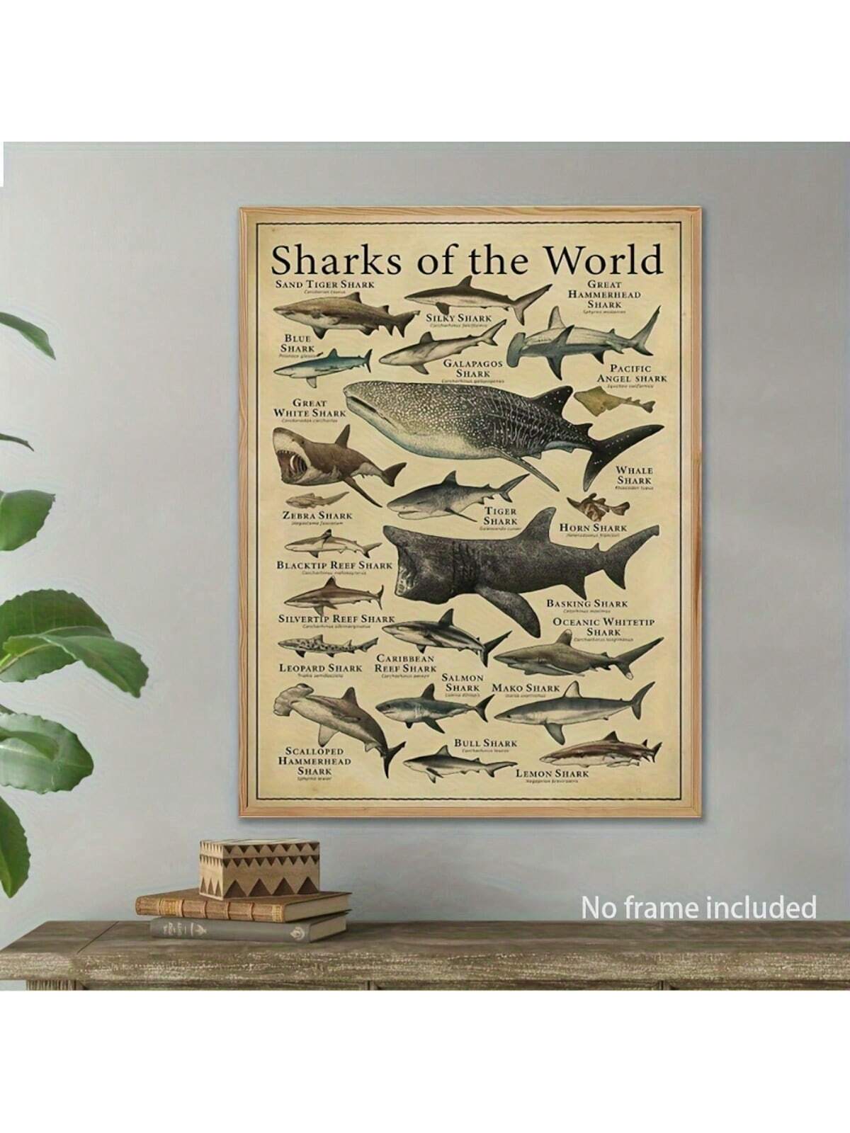 Discover the wonders of the ocean with this vintage shark species wall art poster. Perfect for home, office, or as a unique gift for sea life enthusiasts. This educational canvas print features unframed dimensions of 12x16 inches, making it a stunning addition to any space.