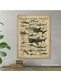 Discover the wonders of the ocean with this vintage shark species wall art poster. Perfect for home, office, or as a unique gift for sea life enthusiasts. This educational canvas print features unframed dimensions of 12x16 inches, making it a stunning addition to any space.