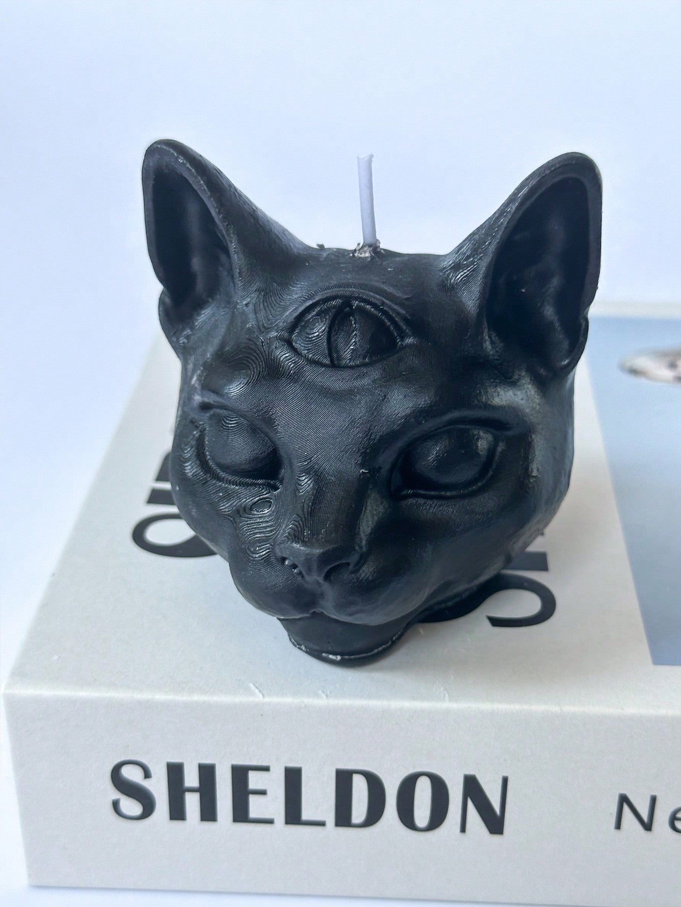 Enhance the ambiance of any room with our Whimsical Three-Eyed Cat Head Aromatherapy Candle. Crafted with a unique three-eyed cat head design, this candle adds a touch of playfulness to your DIY decor. Imbued with aromatherapy scents, it also offers a calming and soothing experience for your mind and body.